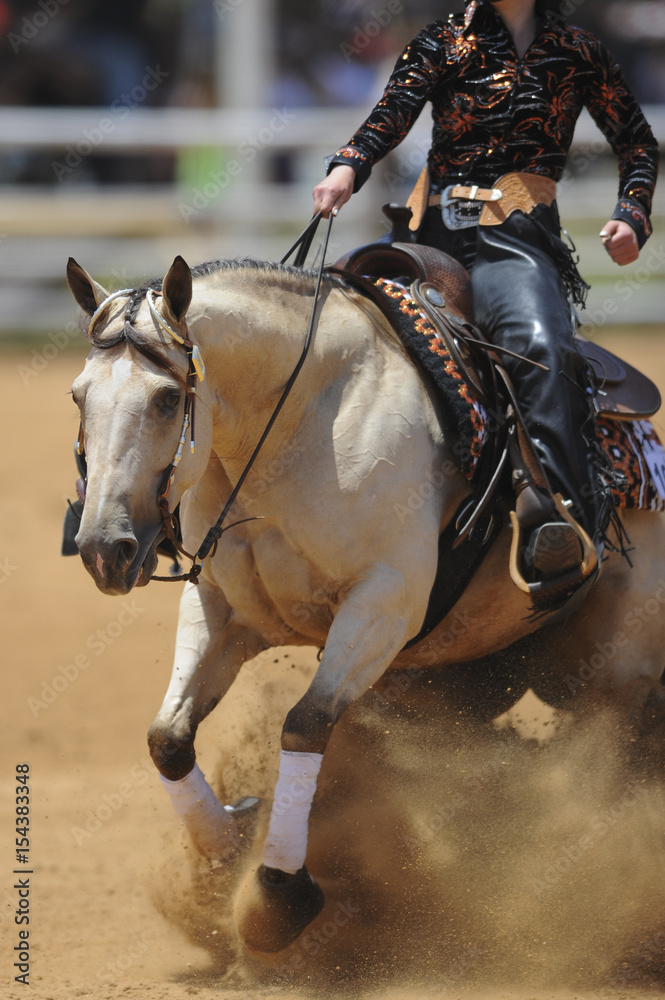 The front view of a rider in cowboy chaps and boots sliding the horse in the sand The front view of a rider in cowboy chaps and boots sliding the horse in the sand
