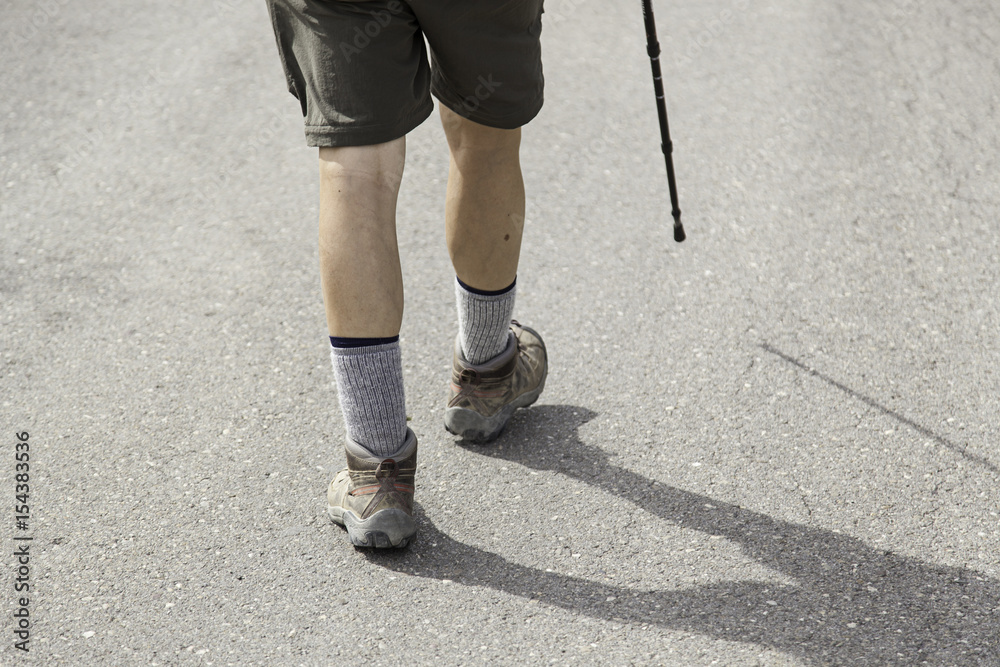 Hikers on forest