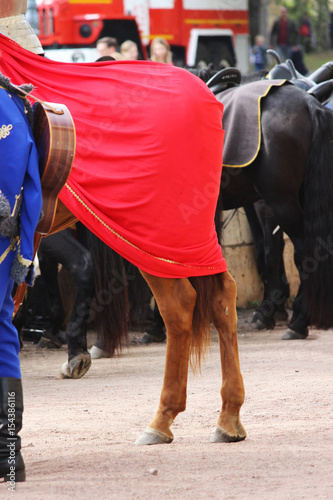 Croup of horses Equus caballus, covered with a red cloak on a performance at City Day Gatchina Leningrad Region, Russia