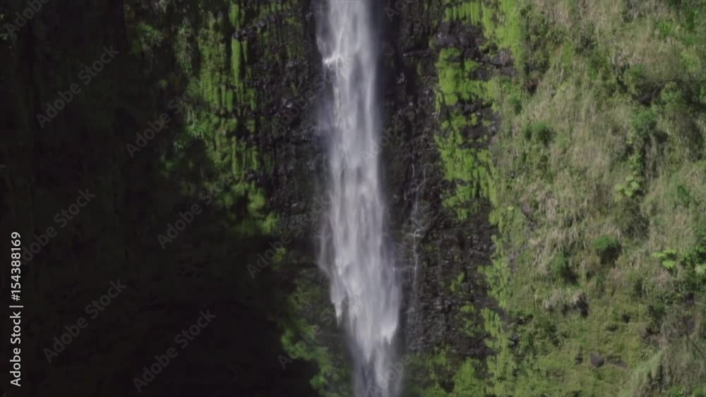 Slow Motion Pan Up of Akaka falls in Hawaii Slow Motion Pan Up of Akaka falls in Hawaii