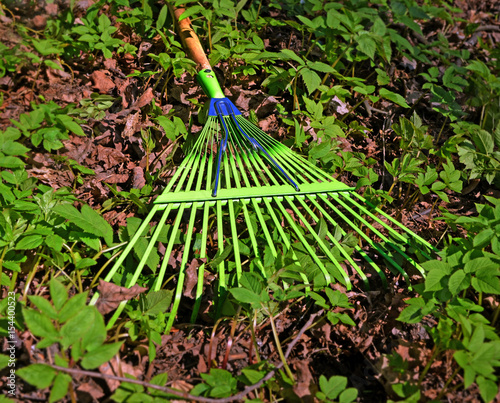 Garden rake photo