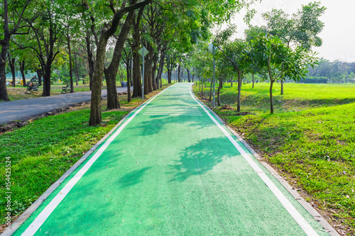 Wallpaper Mural Road pathway in the park for relaxing walking jogging or running and exercise Torontodigital.ca
