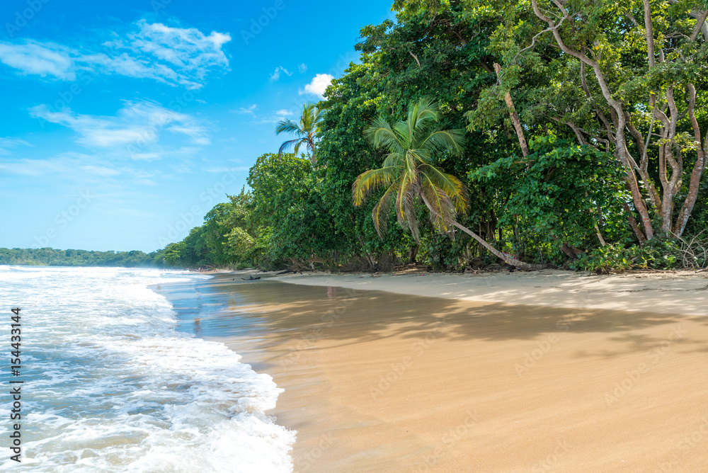 Fototapeta premium Cahuita - National park with beautiful beaches and rainforest in Costa Rica