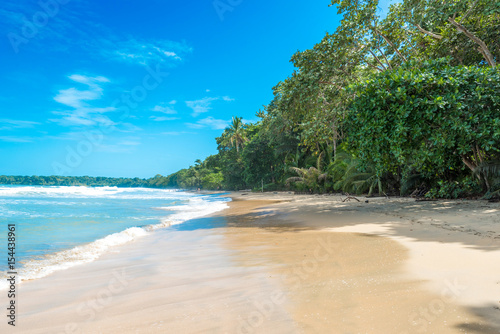 Fototapeta Naklejka Na Ścianę i Meble -  Cahuita - National park with beautiful beaches and rainforest in Costa Rica