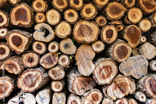 Cross Sectional Wooden Background,Different sections of the tree.Pile of chopped fire wood prepared for winterCutting wood is arrange to be the natural wall at farm in Thailand,selective focus