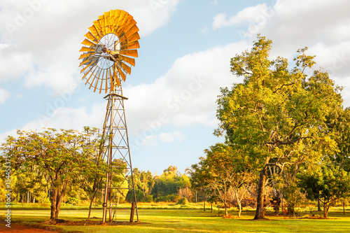 Windmills are gold in the Outback! Litchfield National Park, NT, Australia. photo