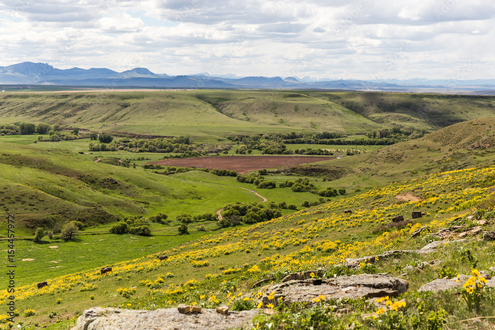 Spring Landscape in Montana