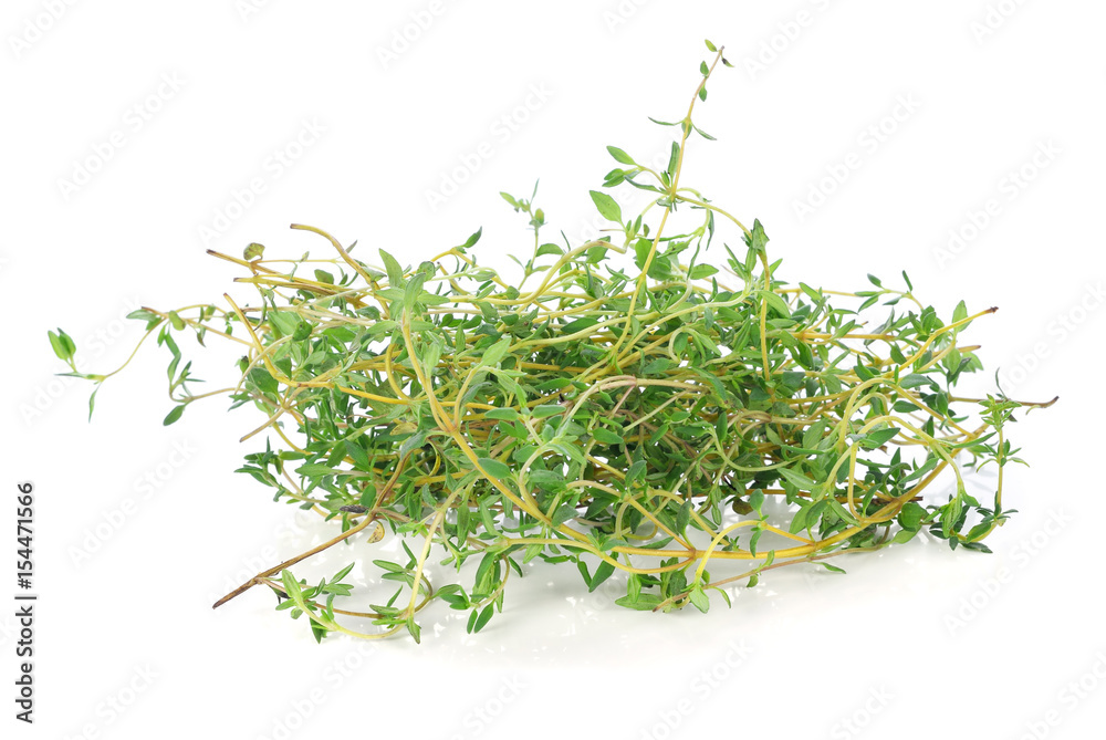 Thyme isolated on white background. Thyme isolated on white background.