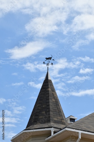 Weather vane on the roof of the House