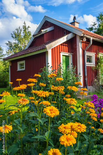 Garden flowers and a red cottage