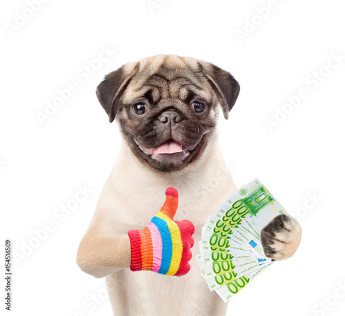 Puppy holding euro and showing gesture thumbs up. isolated on white background © Ermolaev Alexandr