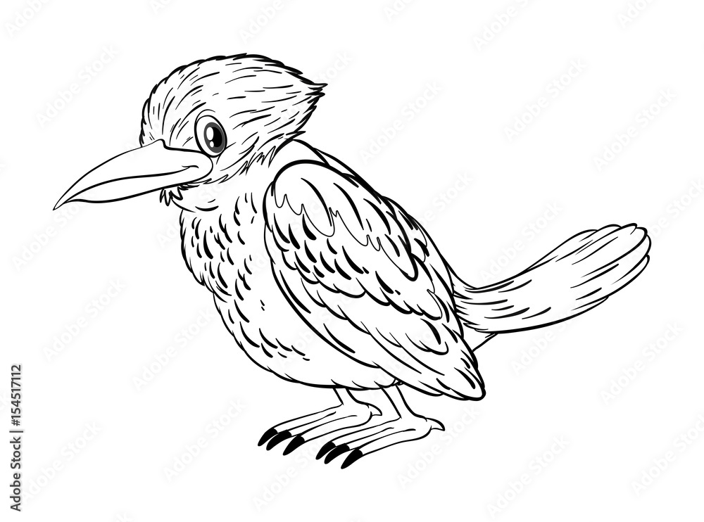 Obraz premium Animal doodle for little bird