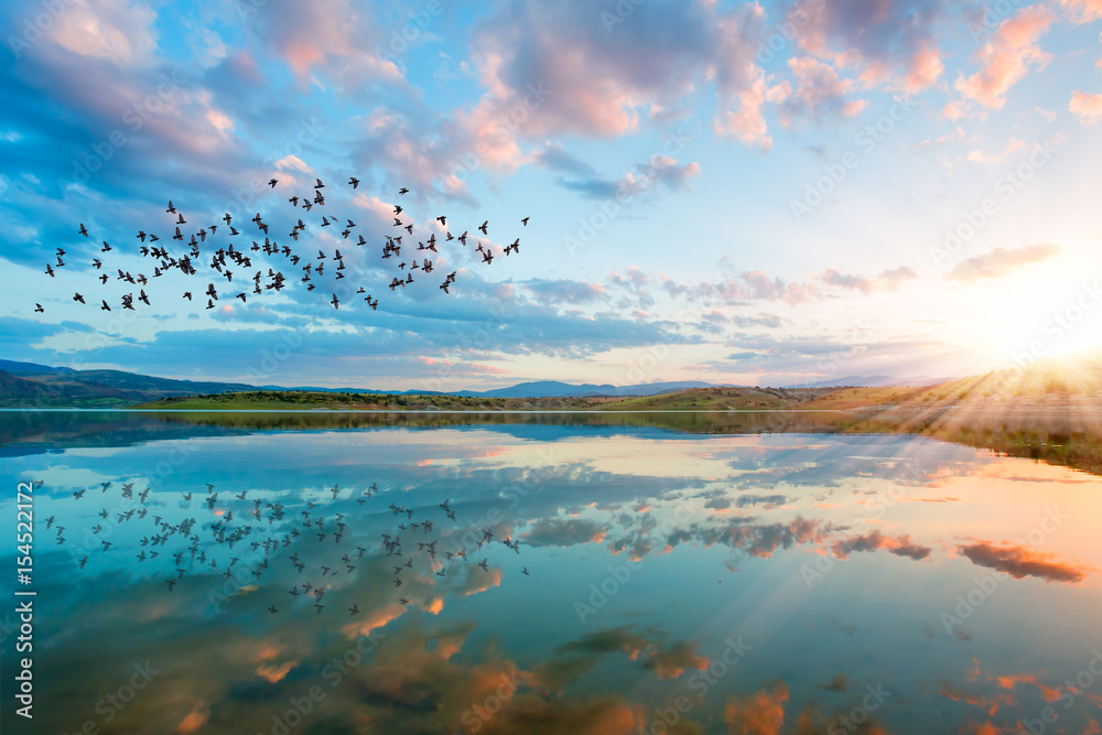 Naklejka premium birds silhouettes flying above the lake against sunset,