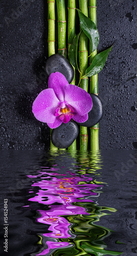 Stones, orchid flower and bamboo reflected in a water