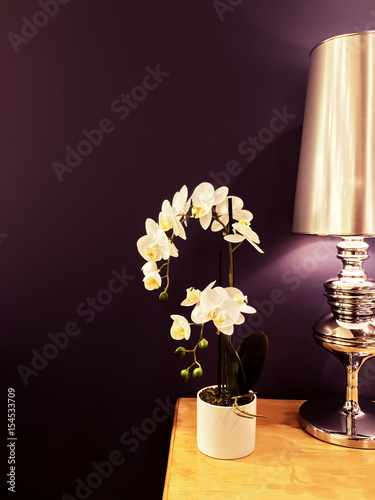 White orchid and metal lamp in purple interior