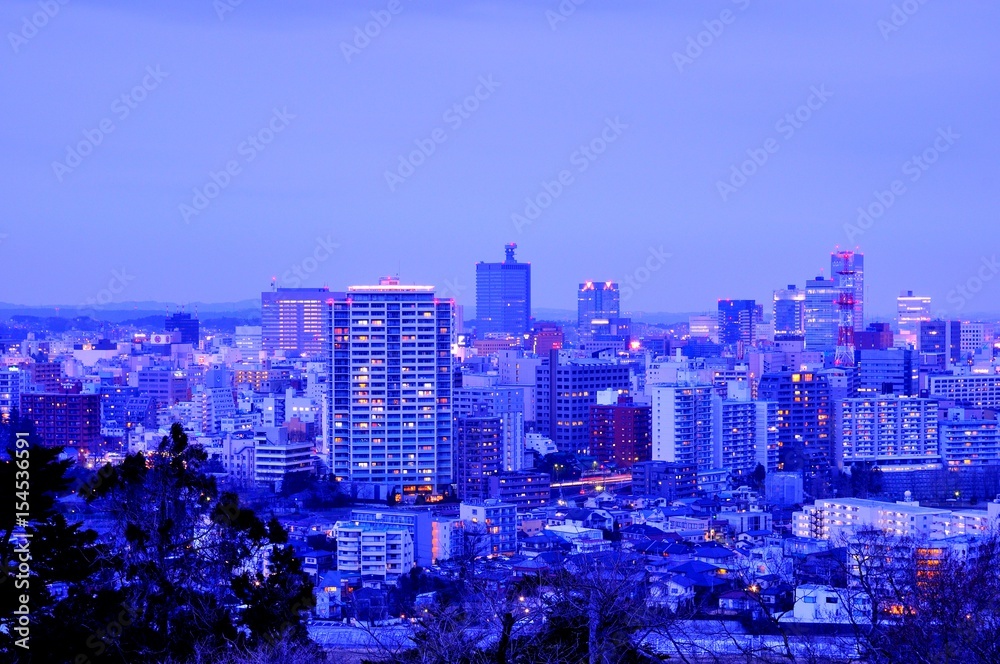 Obraz premium 仙台の夜景