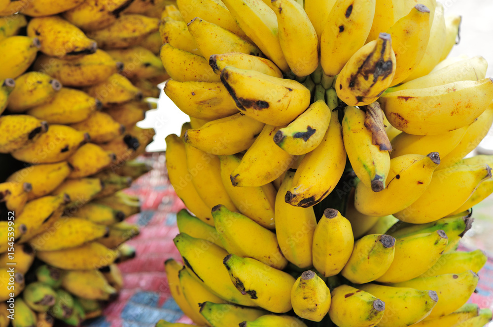 fresh bananas selling at local market