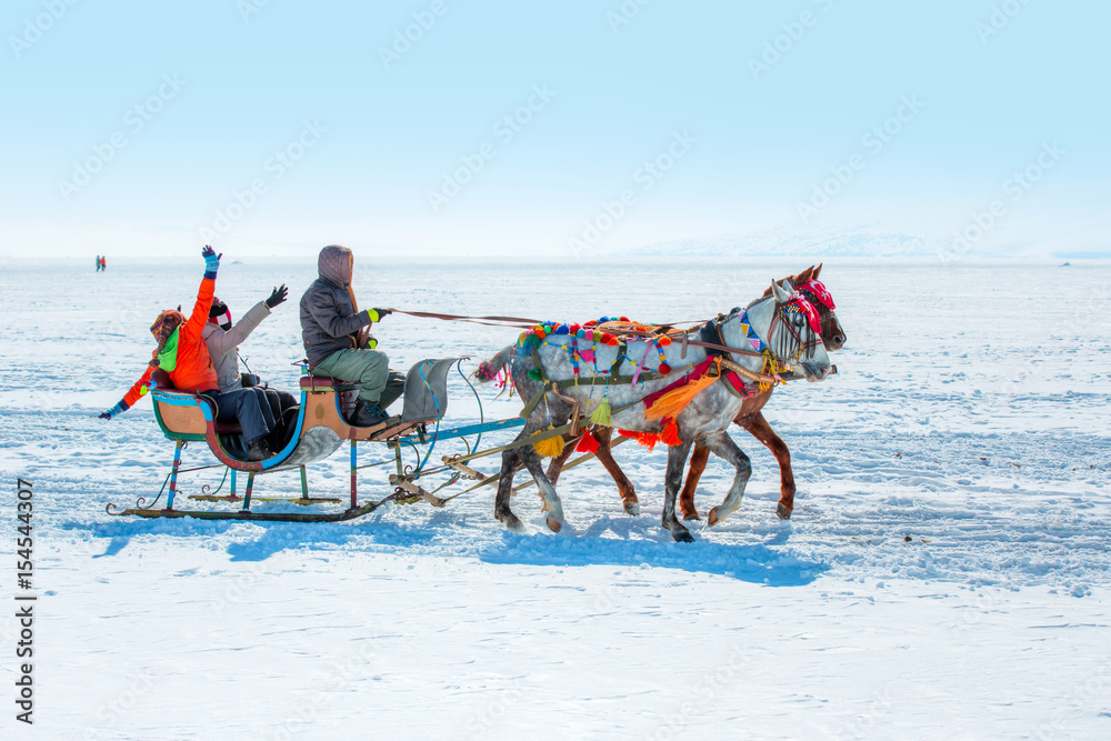 Fototapeta premium Horses pulling sleigh in winter , Cildir Lake, Kars