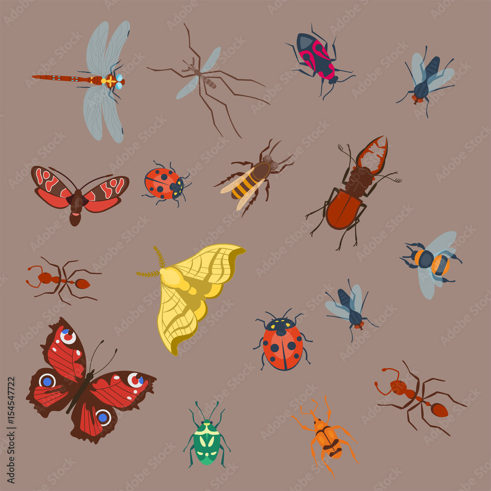 Colorful insects icons isolated wildlife wing detail summer bugs wild vector illustration