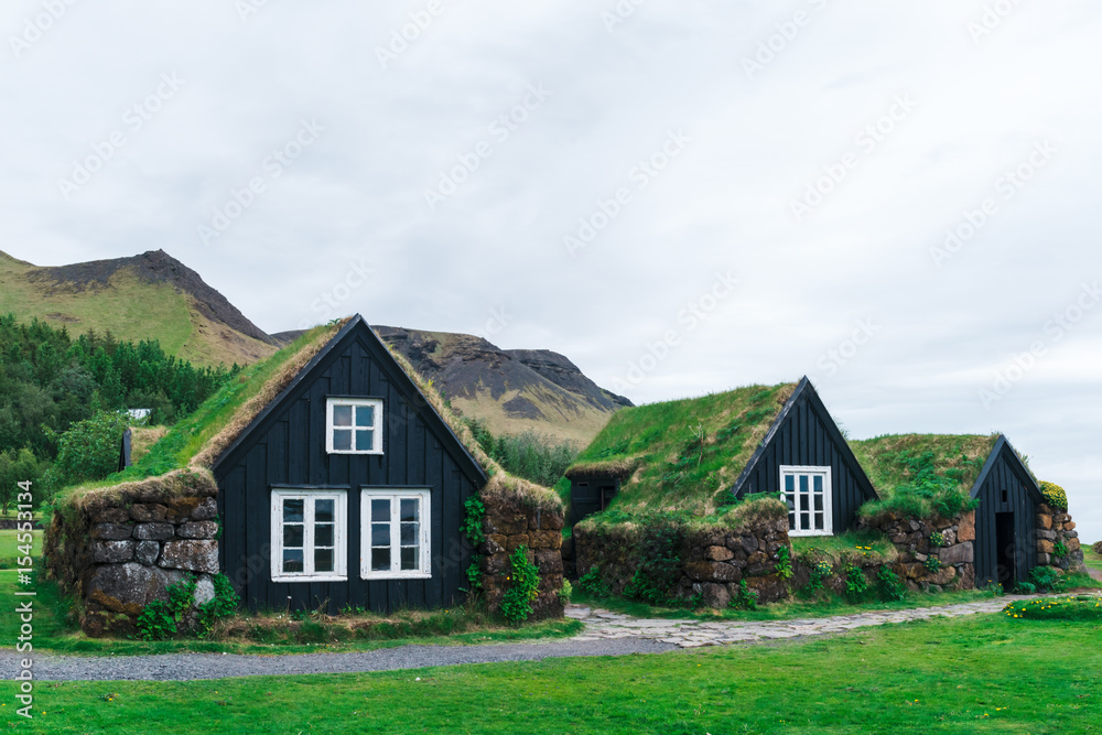 Traditional houses with grass