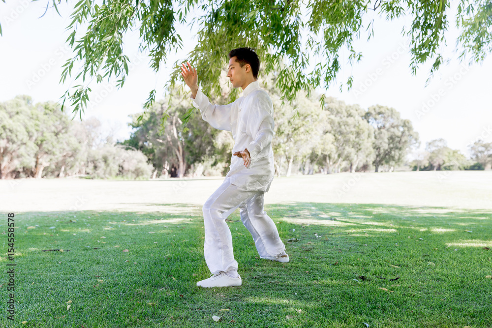 Handsome man practicing thai chi