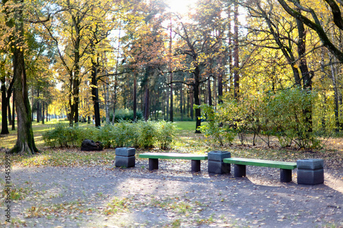 Benches in the autumn park of Sosnovka, St. Petersburg. Soft focus. photo