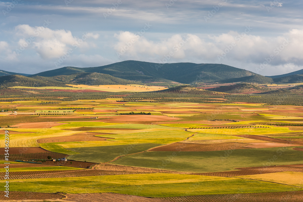 Colorful fields with crop, farming landscape in Spain