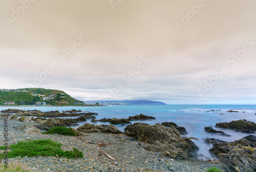 Taputeranga Marine Reserve is located on Wellington  's South coast covering Island Bay , Owhiro Bay and  Houghton Bay , Wellington , North Island of New Zealand
