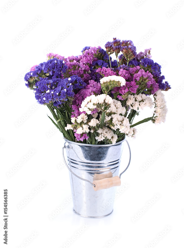 Fototapeta premium Flowers close up isolated for white background