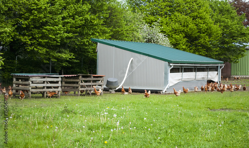 Glückliche Hühner in artgerechter Freilandhaltung mit Hühnerstall in Schleswig-Holstein, Deutschland 