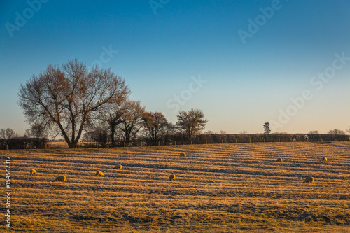 Winter countryside landscape on a frosty morning