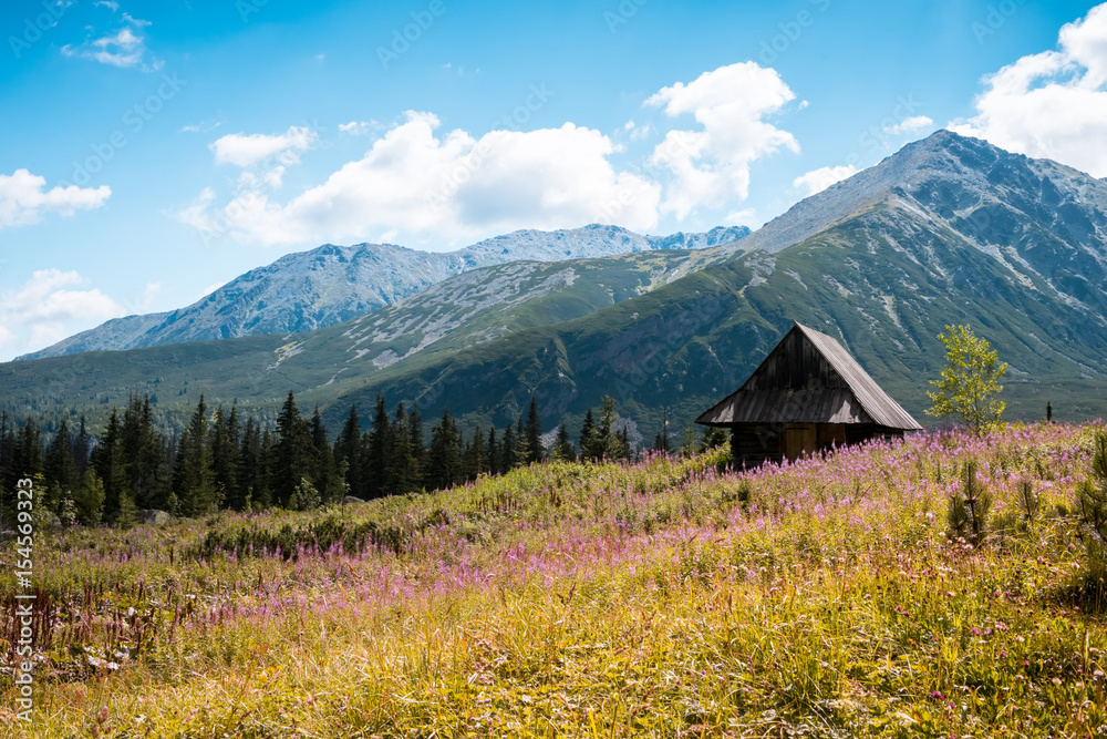 Hala Gasienicowa, Tatra mountains Zakopane Poland Hala Gasienicowa, Tatra mountains Zakopane Poland