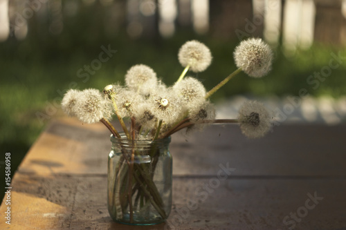 A bouquet of fluffy and yellow dandelions in the bank
