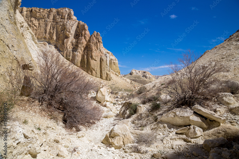 Rocks of a fantastic unusual shape, haloxylons and dry creek in the desert of Kazakhstan