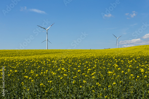 Landscape with windmill and yellow flowers beautiful sky.