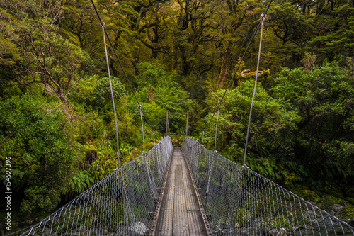 Fototapeta Naklejka Na Ścianę i Meble -  Track at Lake Marian fall located in the Fiordland National Park, Milford sound, New Zealand