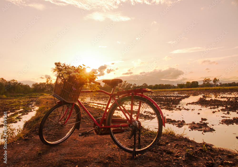 Obraz premium Beautiful landscape at sunset time with red classic bicycle