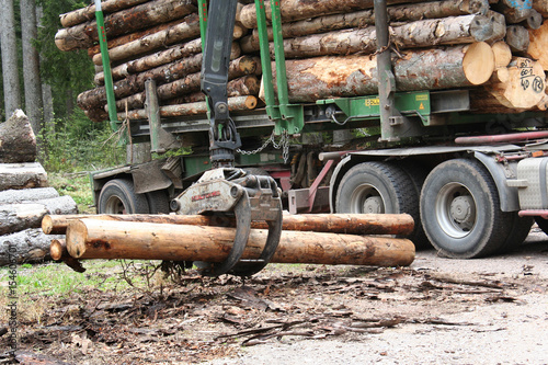 Langholzwagen beim beladen des LKW mit Baumstämmen