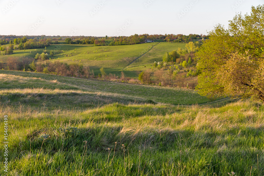 Rural summer pasture sunset landscape in Central Ukraine.