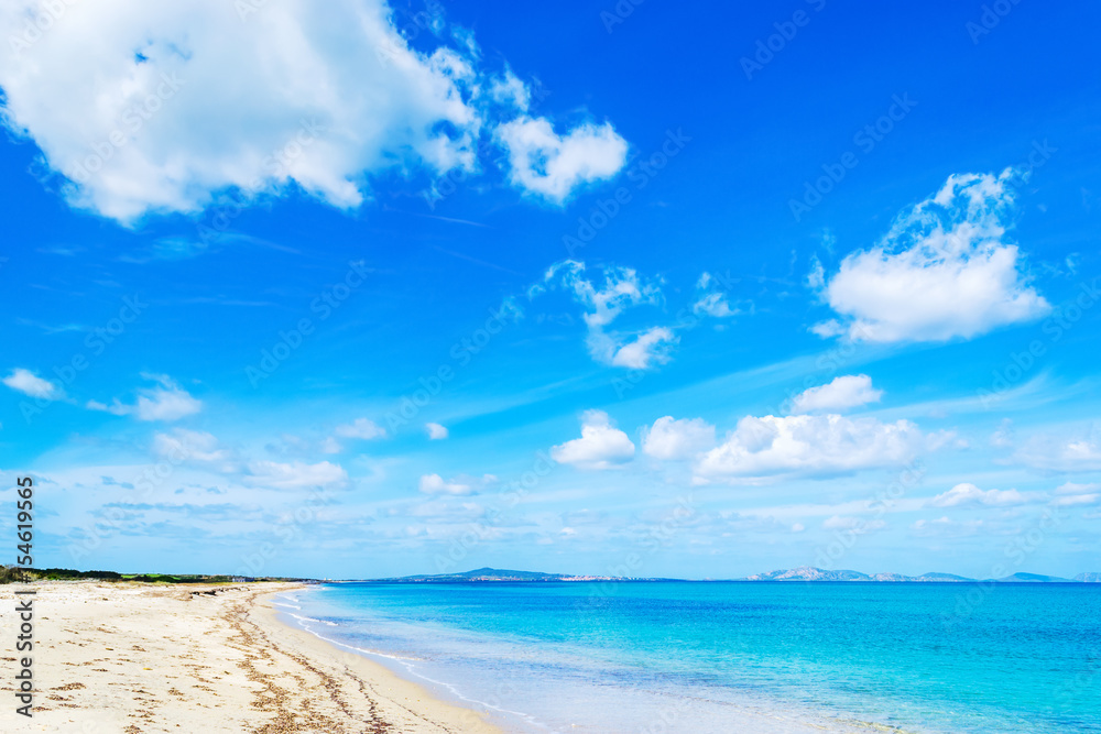 Fiume Santo shoreline in spring