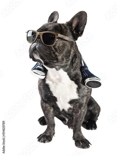 Fototapeta Naklejka Na Ścianę i Meble -  French bulldog in sunglasses