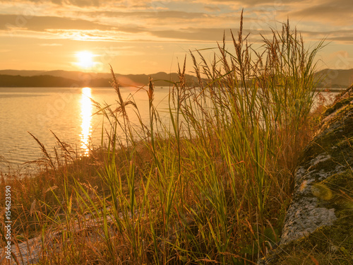 At dawn on the shore of the North sea and the grass lit by the sun .