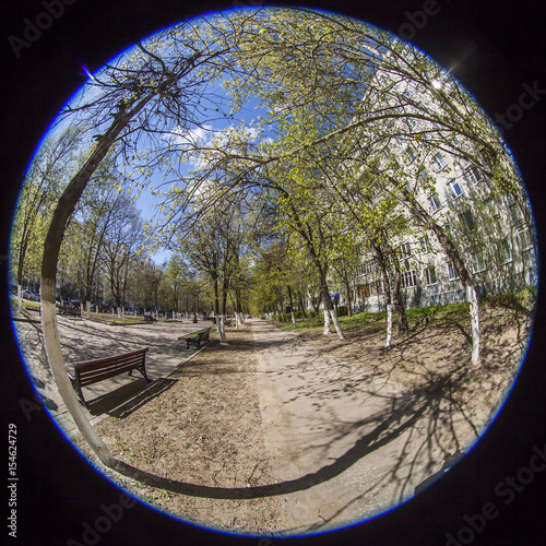 PUSHKINO, RUSSIA, on May 7, 2017. City landscape. The bright spring sun lights the boulevard and trees with young leaves. Fish eye view. photo