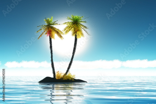 Palms island