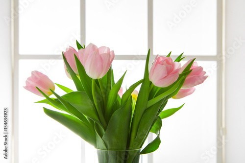 Flowers background, pink tulips at window background, copy space