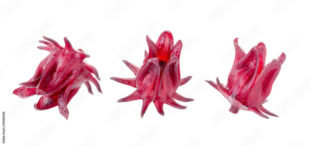 Roselle Hibiscus sabdariffa red fruit flower on white background Roselle Hibiscus sabdariffa red fruit flower on white background