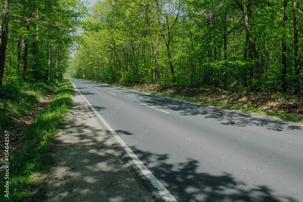 Obraz premium Asfaltowa droga.