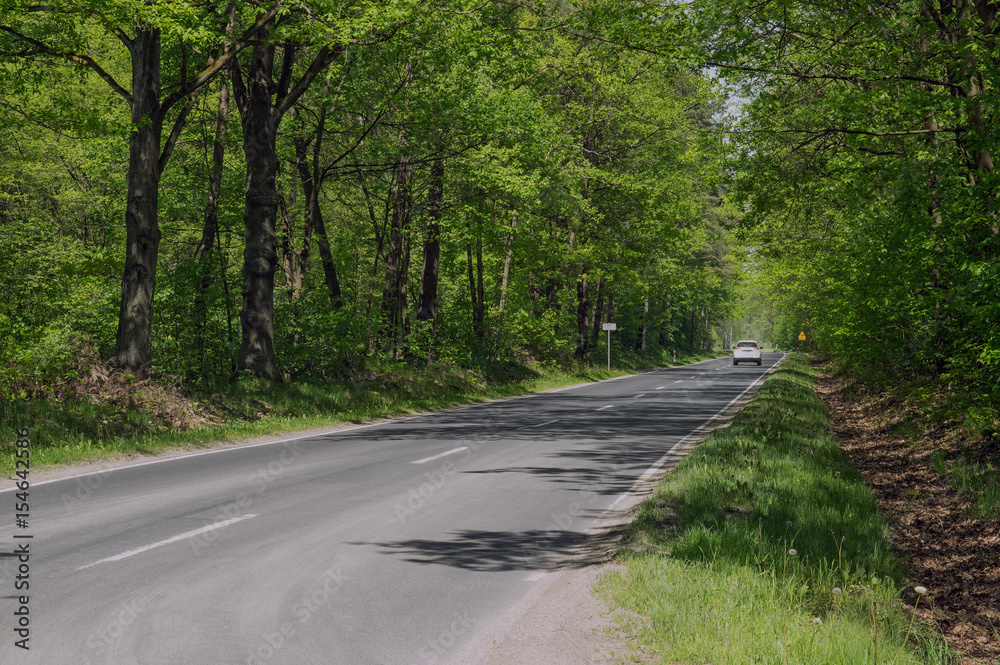 Obraz premium Asfaltowa droga.