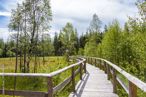Fototapeta Naklejka Na Ścianę i Meble -  Torfowisko wiosna ścieżka