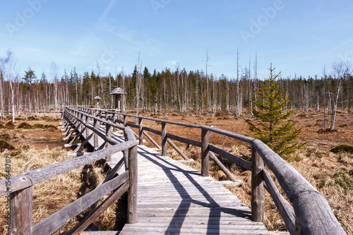 Fototapeta Naklejka Na Ścianę i Meble -  Droga przez torfowisko
